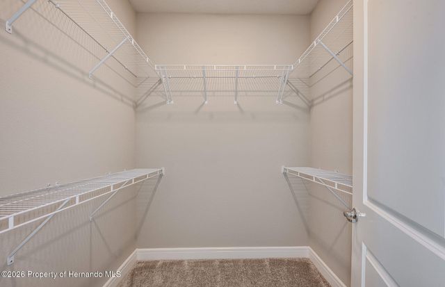 13780 Rocky Pine Place, Spring Hill(pasco), FL 34610