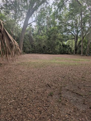 25007 NW 6TH AVENUE, Newberry, FL 32669
