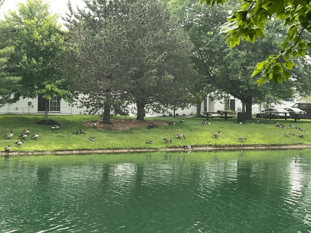 5144 Aquila Drive, C, Canal Winchester, OH 43110