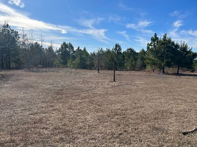 656 Bridle Path Lane, Box Springs, GA 31801