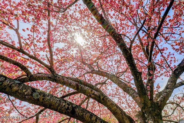 92 Fox Chase Court, Freehold, NJ 07728