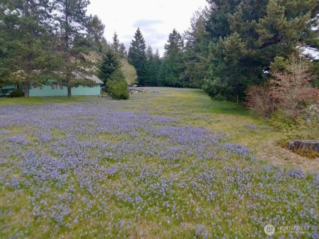 503 Centre Street N, Rainier, WA 98576