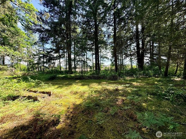 503 Centre Street N, Rainier, WA 98576