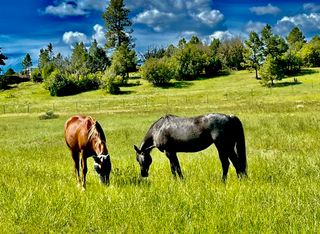 3 Elk Drive, Chama, NM 87520