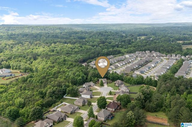 6301 COVE LANE, Mccalla, AL 35111