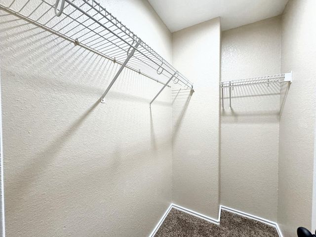 831 Sagewood TRL, San Marcos, TX 78666