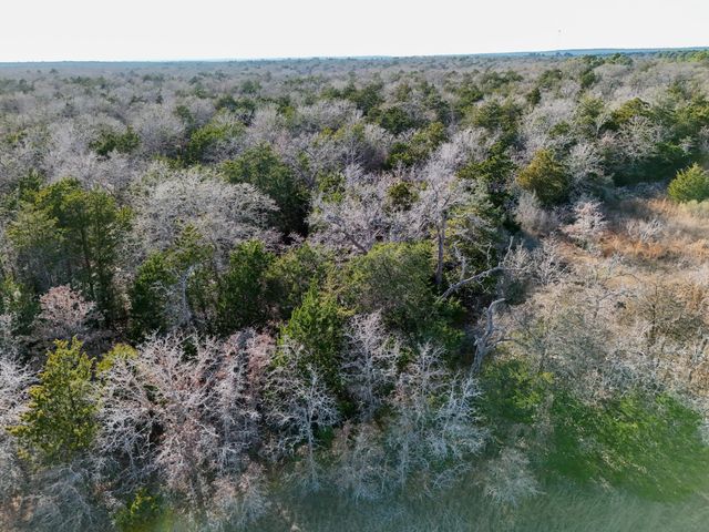 Lot 4 South Old Potato RD, Paige, TX 78659