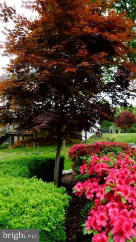 3618 CARLYLE CT, Fredericksburg, VA 22408