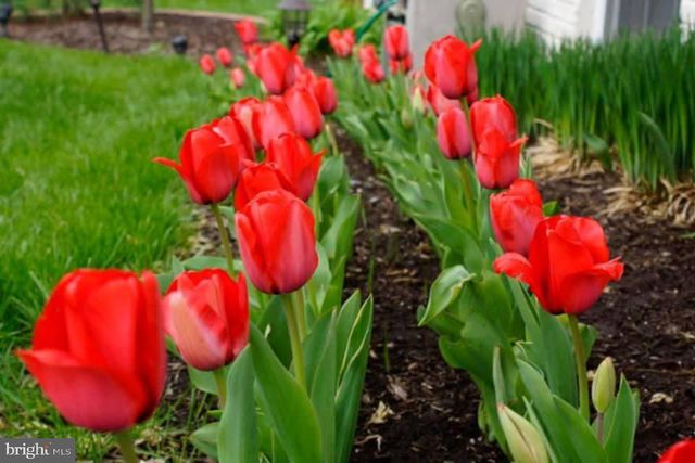 3618 CARLYLE CT, Fredericksburg, VA 22408