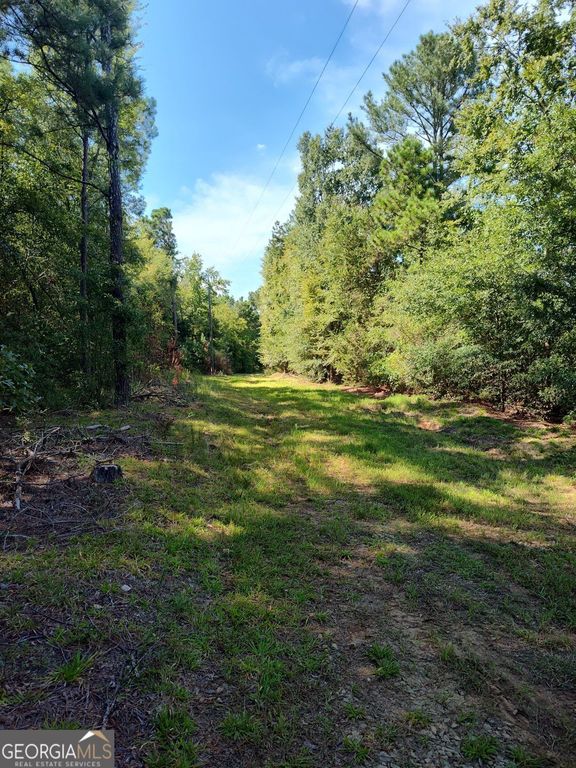 0 Calhoun Falls Highway, Elberton, GA 30635 — photo 3