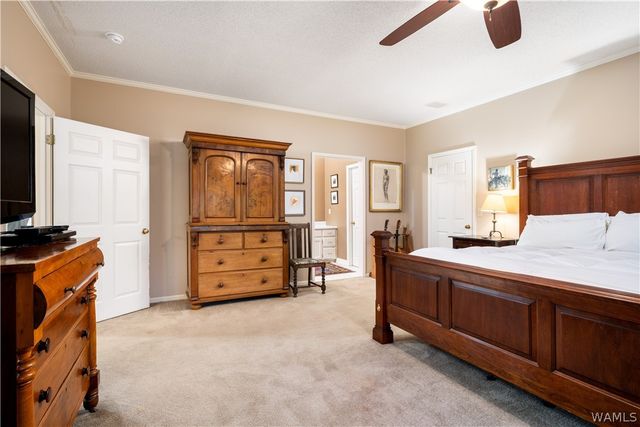 908 Brandywine, Tuscaloosa, AL 35406