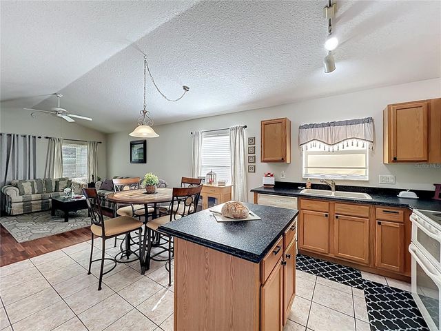 25251 CRANES ROOST, Leesburg, FL 34748