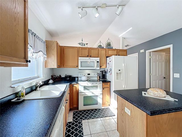 25251 CRANES ROOST, Leesburg, FL 34748