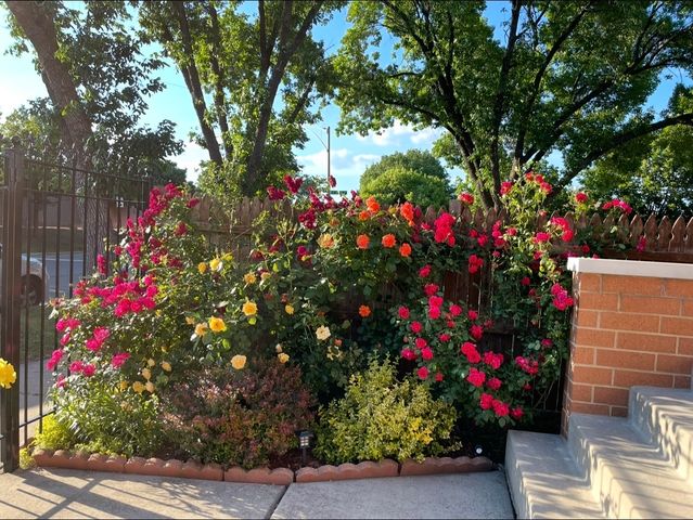 4505 S Drake Avenue, Chicago, IL 60632