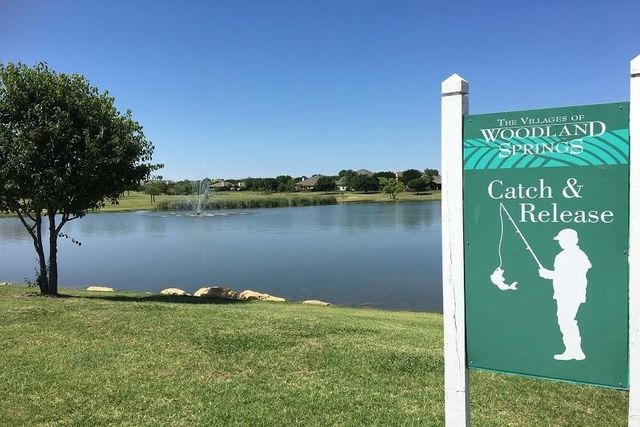 4712 Daisy Leaf Drive, Fort Worth, TX 76244