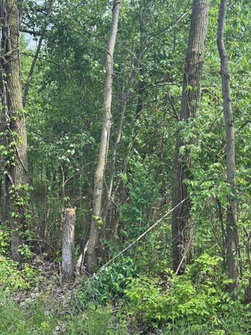 0 Milford Avenue, Lot 37, Columbus, OH 43211