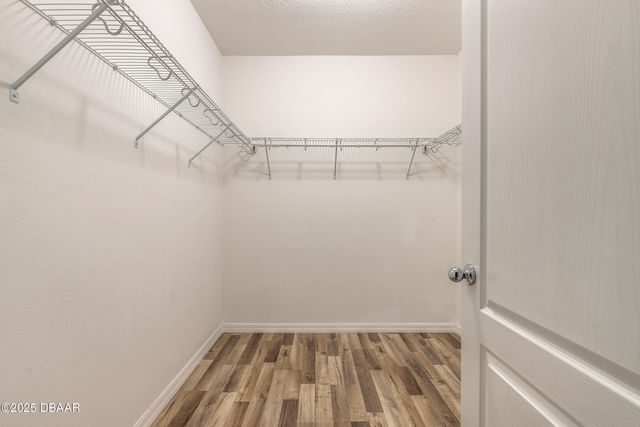 5295 Bear Corn Run, Port Orange, FL 32128