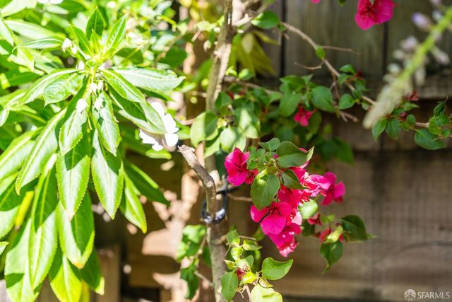 631 San Bruno Avenue, San Francisco, CA 94107