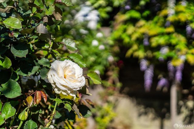 631 San Bruno Avenue, San Francisco, CA 94107