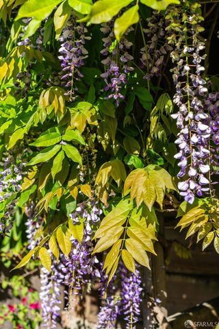 631 San Bruno Avenue, San Francisco, CA 94107