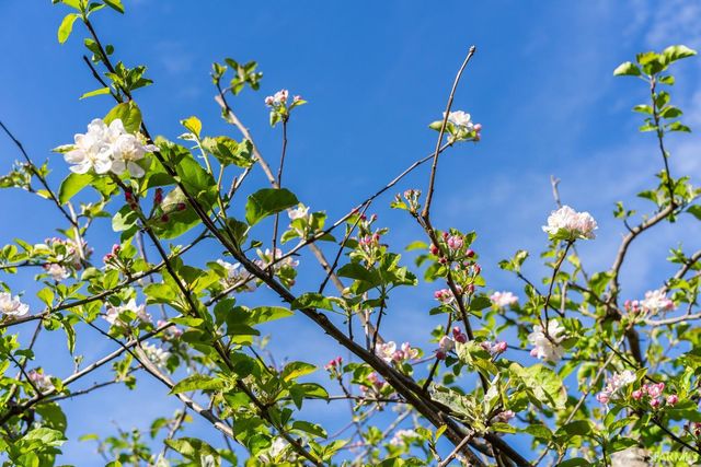 631 San Bruno Avenue, San Francisco, CA 94107