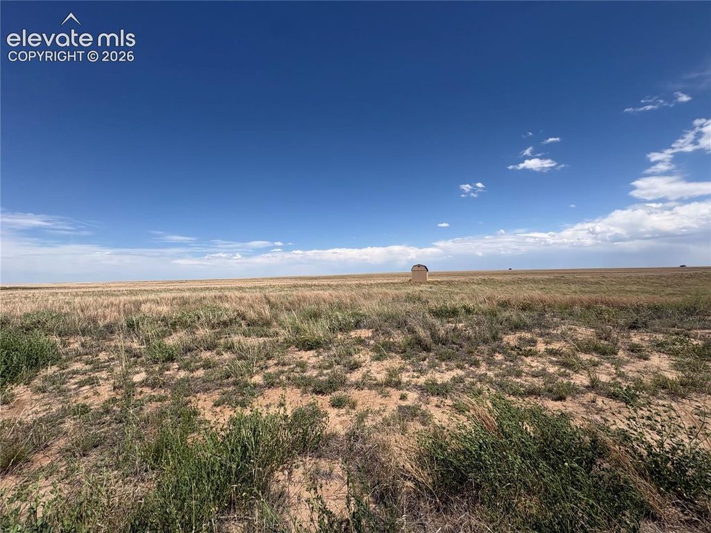 2755 Obdulio Point, Rush, CO 80833 — photo 2