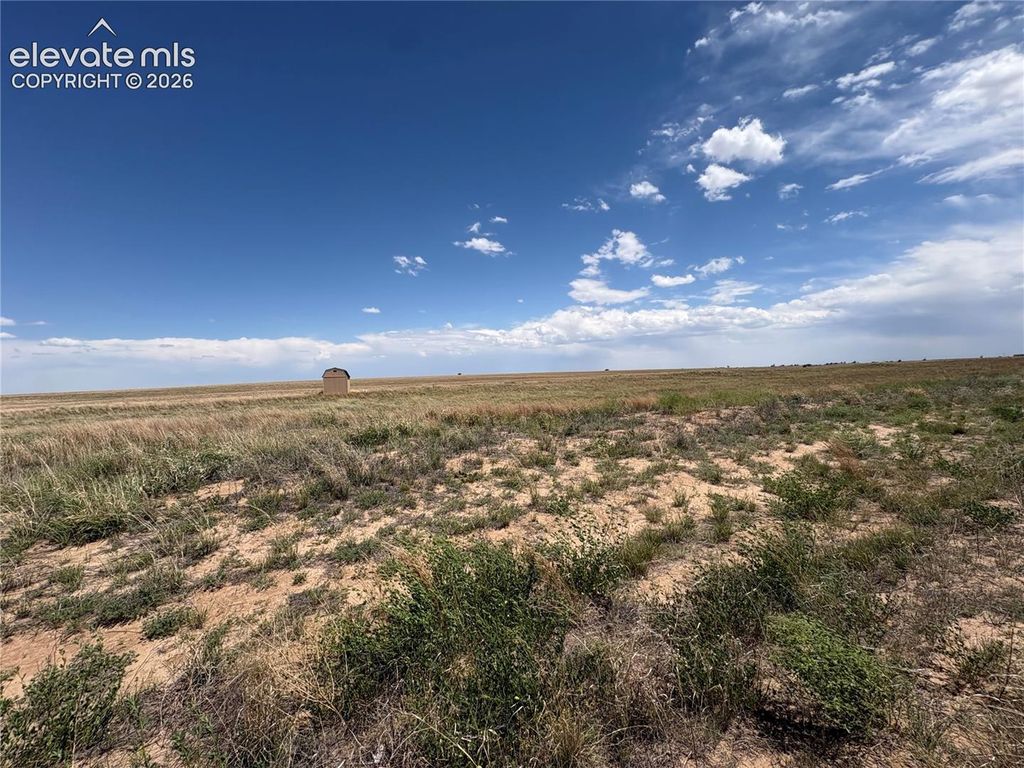 2755 Obdulio Point, Rush, CO 80833 — photo 3