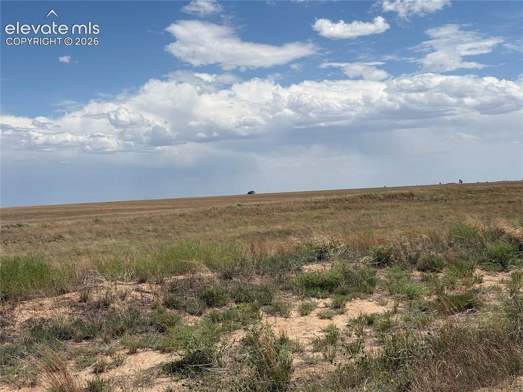 2755 Obdulio Point, Rush, CO 80833 — photo 4