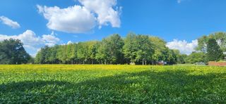 2089 St Rt 133, Tate Twp, OH 45106