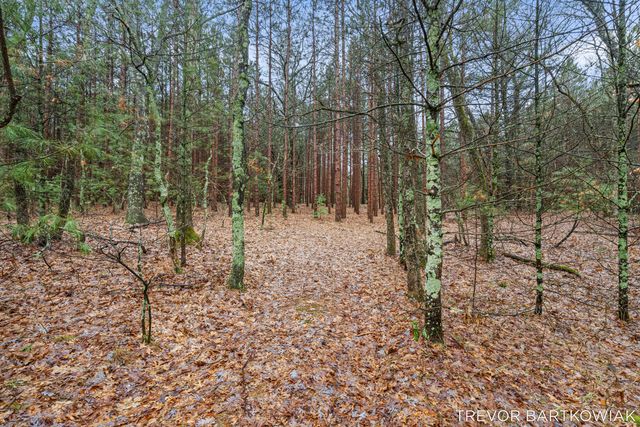 1060 Chicago Drive, Blue Lake Twp, MI 49461