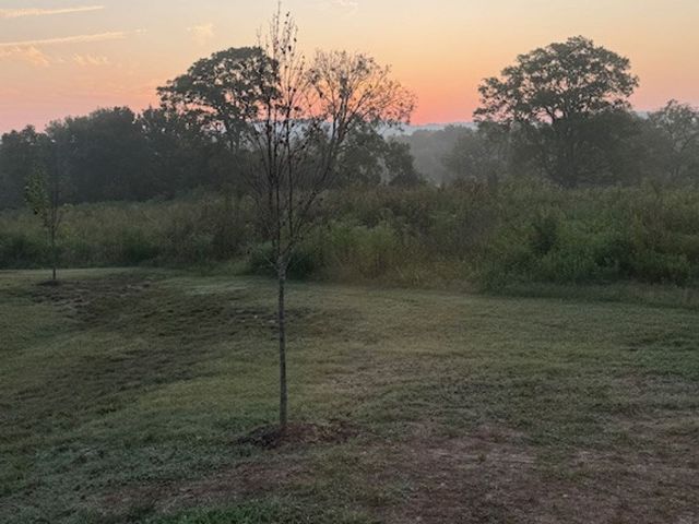 3544 Burgate Trl, Thompsons Station, TN 37179