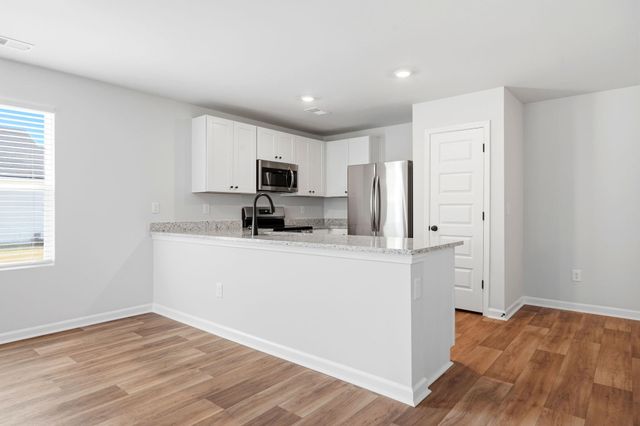 550 Swaying Palm Ct, Longs, SC 29568