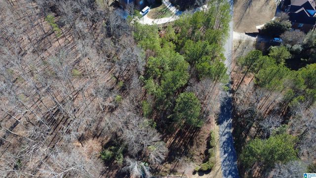 105 HAMPTON LANE, Pelham, AL 35124