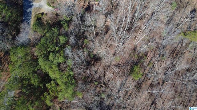 105 HAMPTON LANE, Pelham, AL 35124