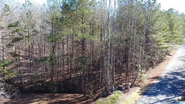 105 HAMPTON LANE, Pelham, AL 35124