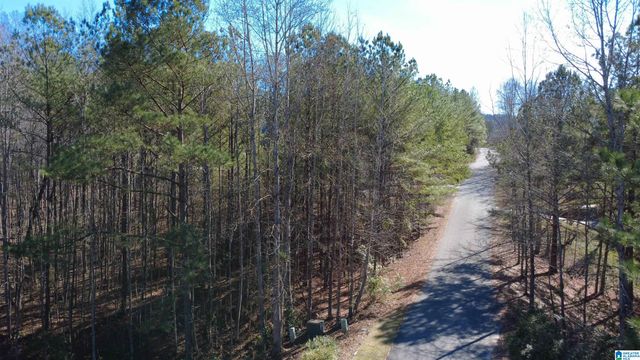 105 HAMPTON LANE, Pelham, AL 35124