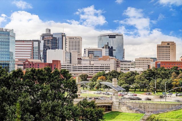 2001 Holcombe Boulevard 3203, Houston, TX 77030