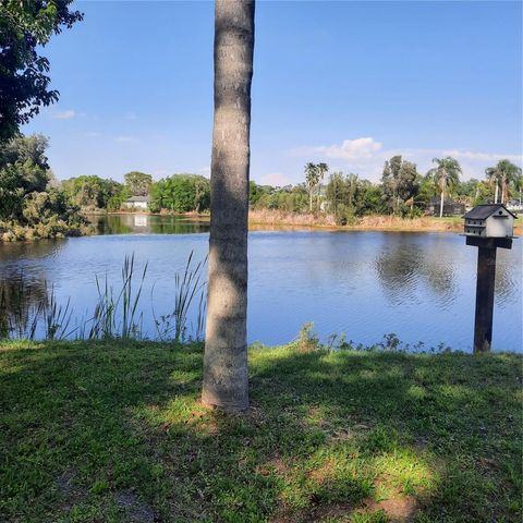 10502 HINDS PLACE, Odessa, FL 33556