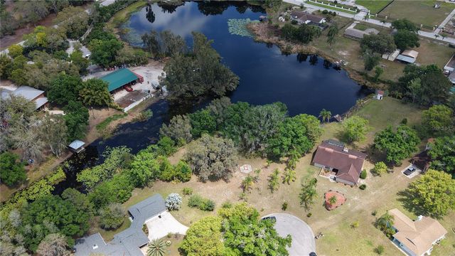 10502 HINDS PLACE, Odessa, FL 33556