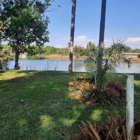 10502 HINDS PLACE, Odessa, FL 33556