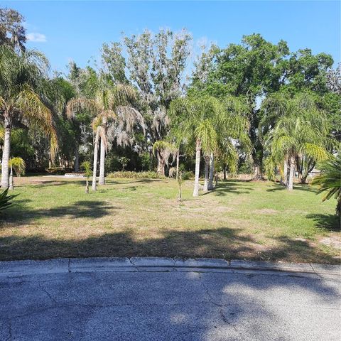 10502 HINDS PLACE, Odessa, FL 33556