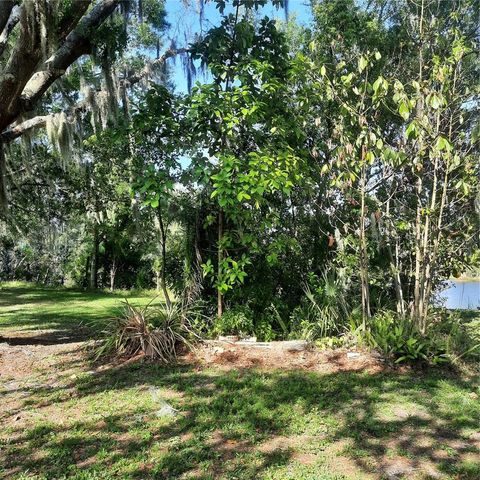 10502 HINDS PLACE, Odessa, FL 33556