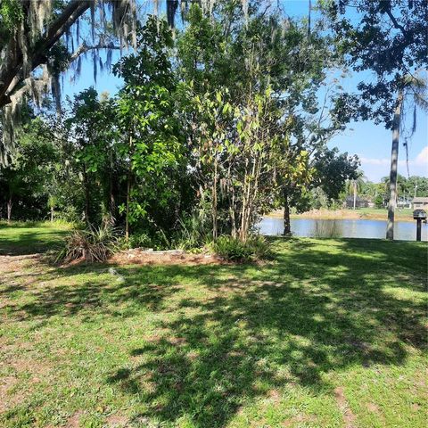 10502 HINDS PLACE, Odessa, FL 33556