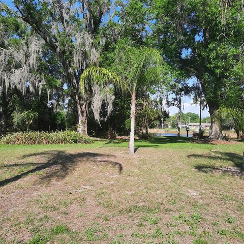 10502 HINDS PLACE, Odessa, FL 33556