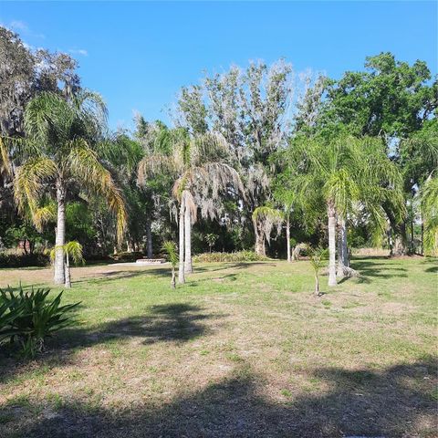 10502 HINDS PLACE, Odessa, FL 33556