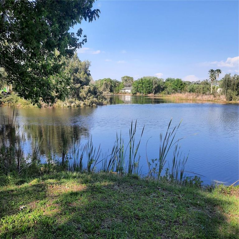 10502 HINDS PLACE, Odessa, FL 33556