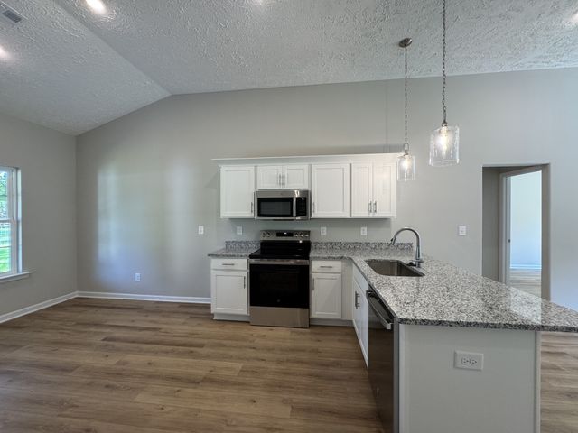 37 Laurel View St, Manchester, TN 37355