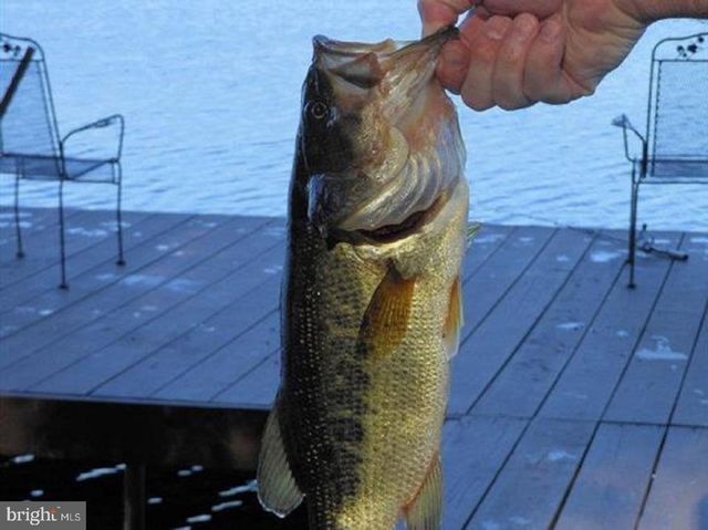 340 MOSEYWOOD RD, Lake Harmony, PA 18624