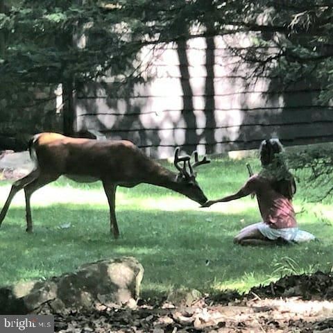 340 MOSEYWOOD RD, Lake Harmony, PA 18624