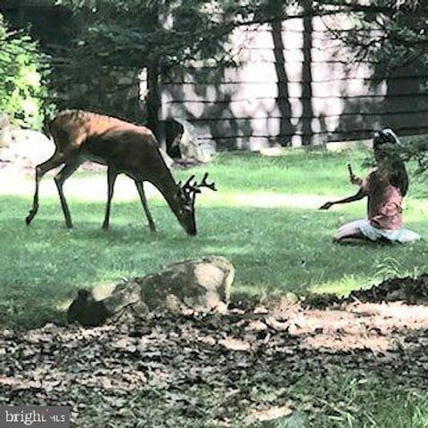 340 MOSEYWOOD RD, Lake Harmony, PA 18624